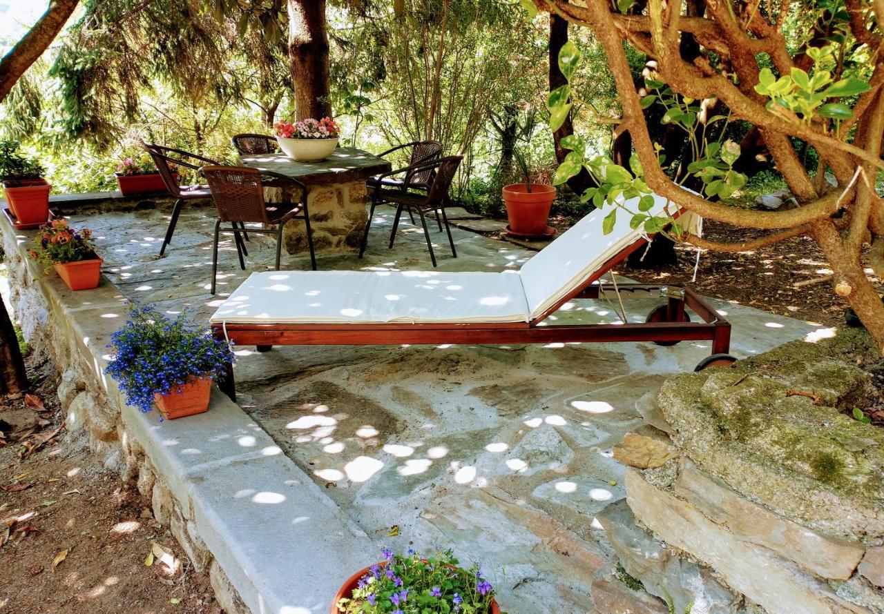 Casa Visnenza Bed & Breakfast Capo di Ponte Exteriér fotografie